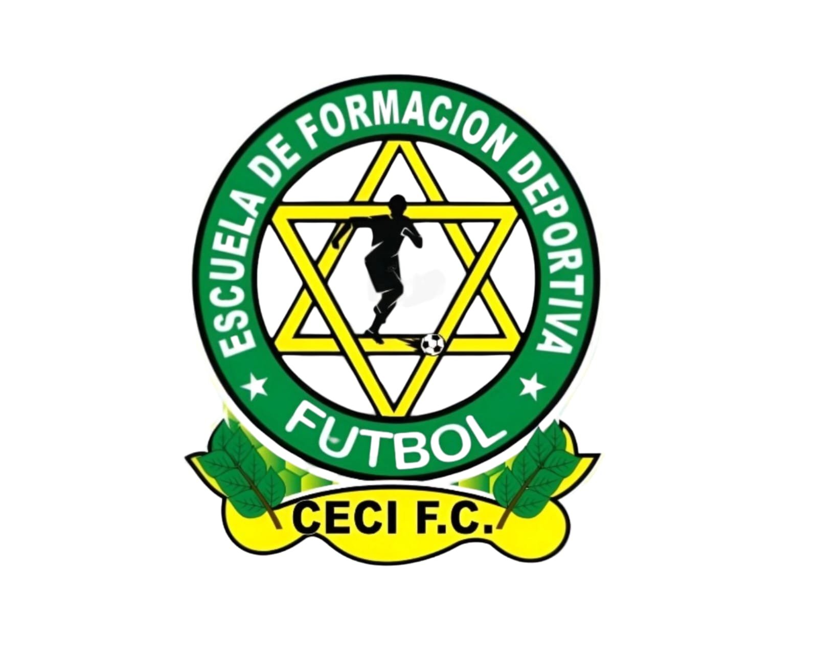 Logo Academia